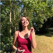 Cours de violon (débutant jusqu'au cycle 2)